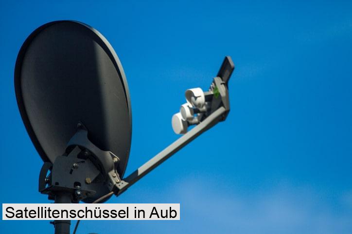 Satellitenschüssel in Aub